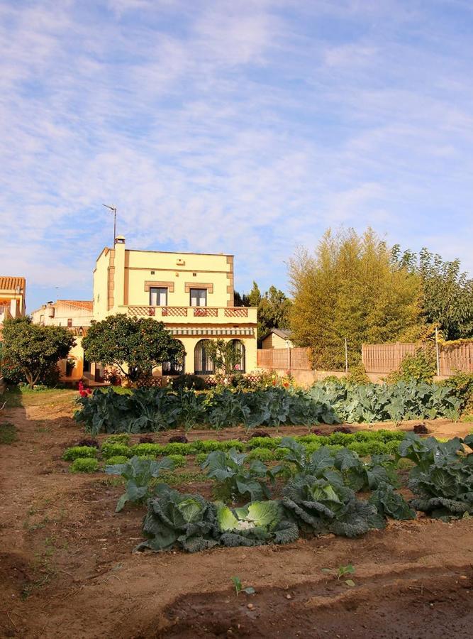 Casa Tapiolas Borrassá Екстериор снимка